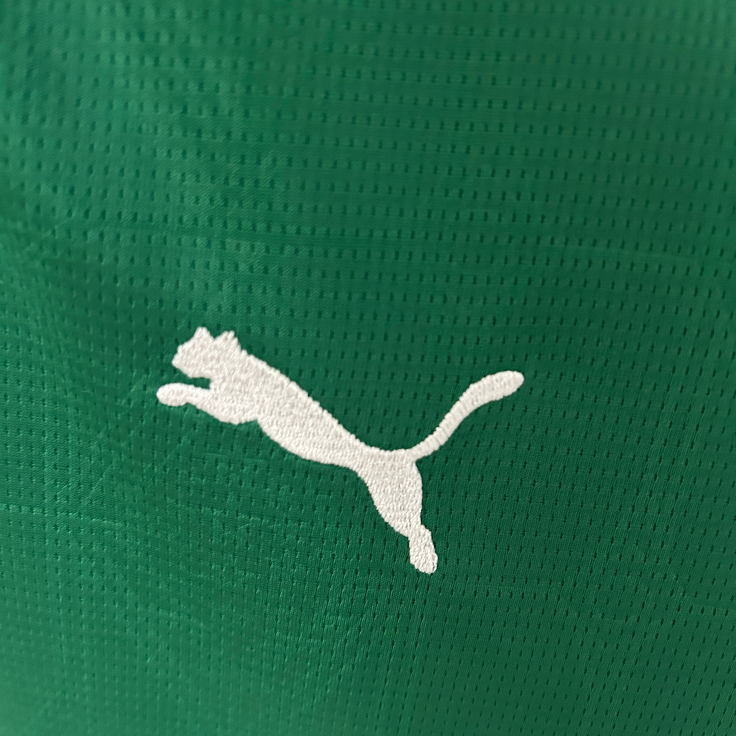 Palmeiras Home Jersey 25/26 Women's Fan Version