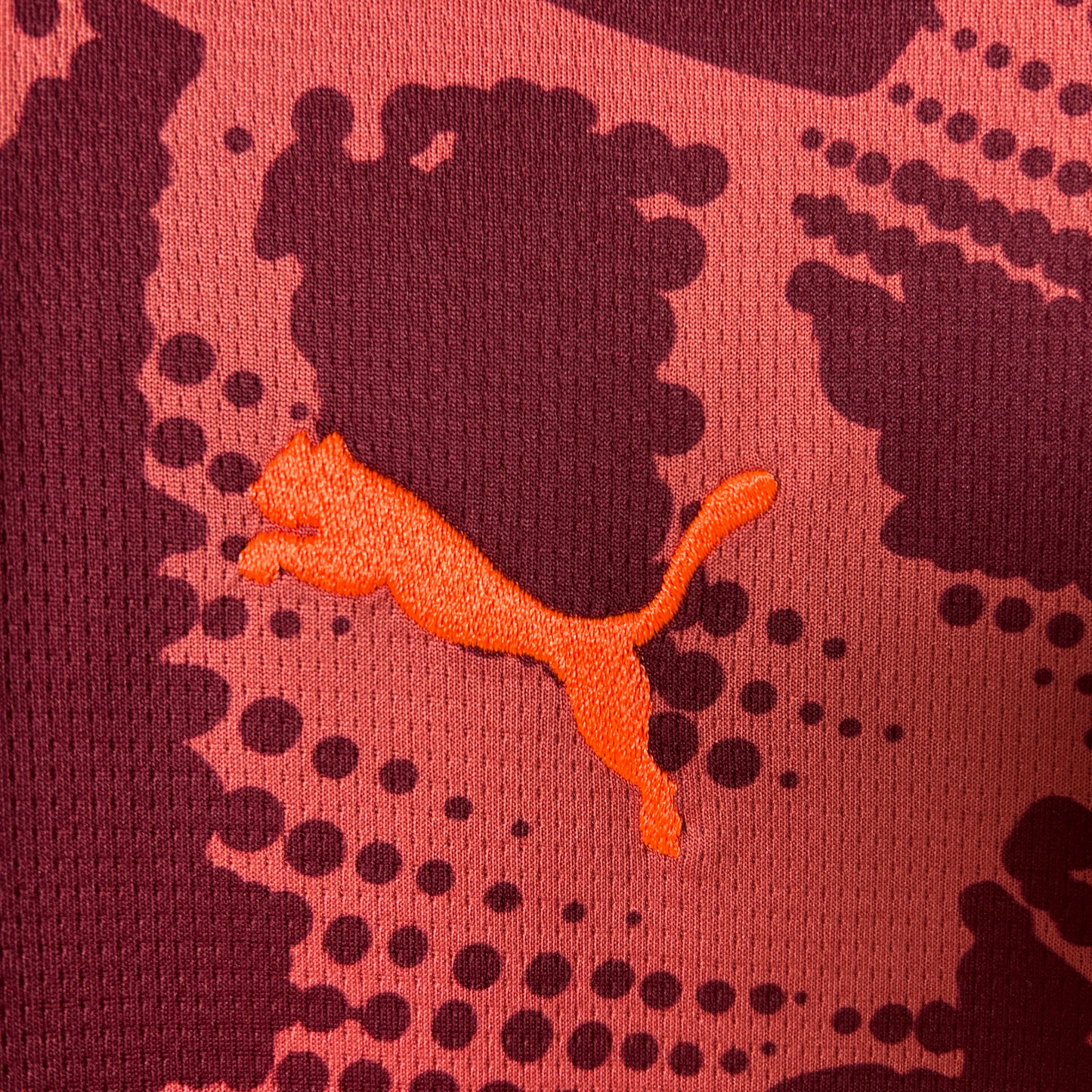 Palmeiras Goalkeeper Third Jersey 25/26 Fan Version