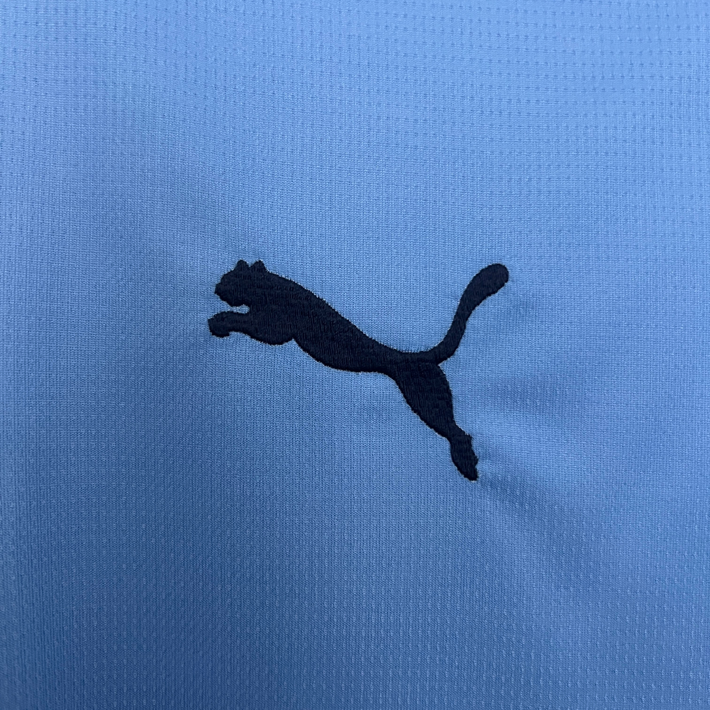 Manchester City Home Jersey 25/26 Fan Version