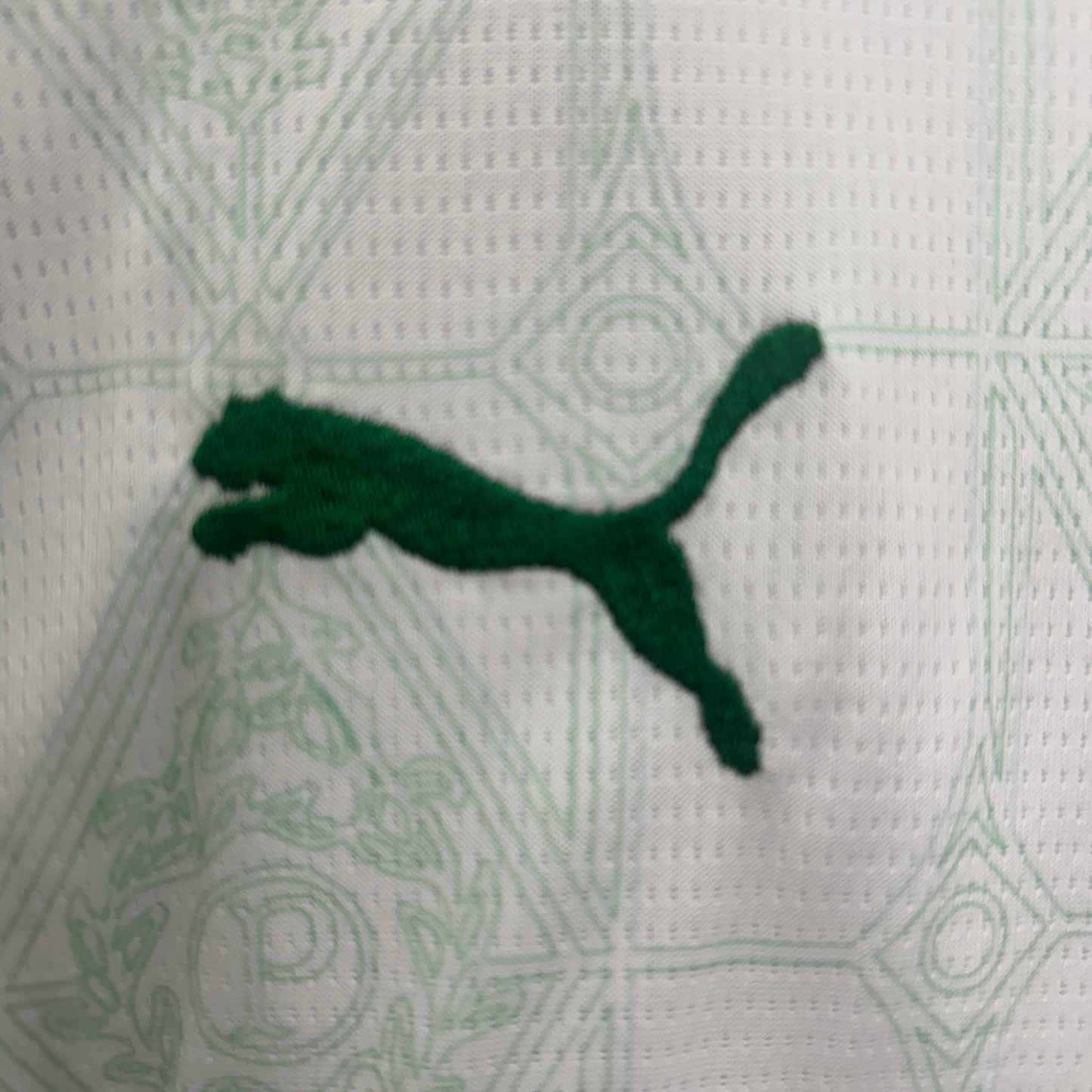 Palmeiras II Kit 25/26 Kids