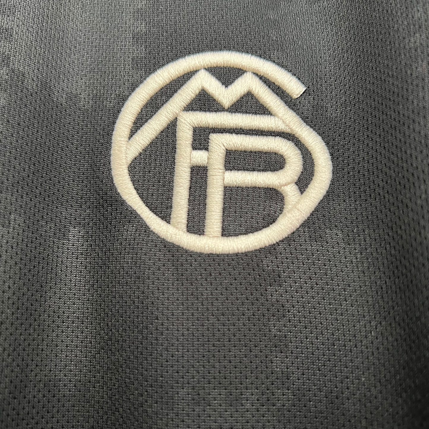 Bayern Munich Third Jersey 25/26 Fan Version