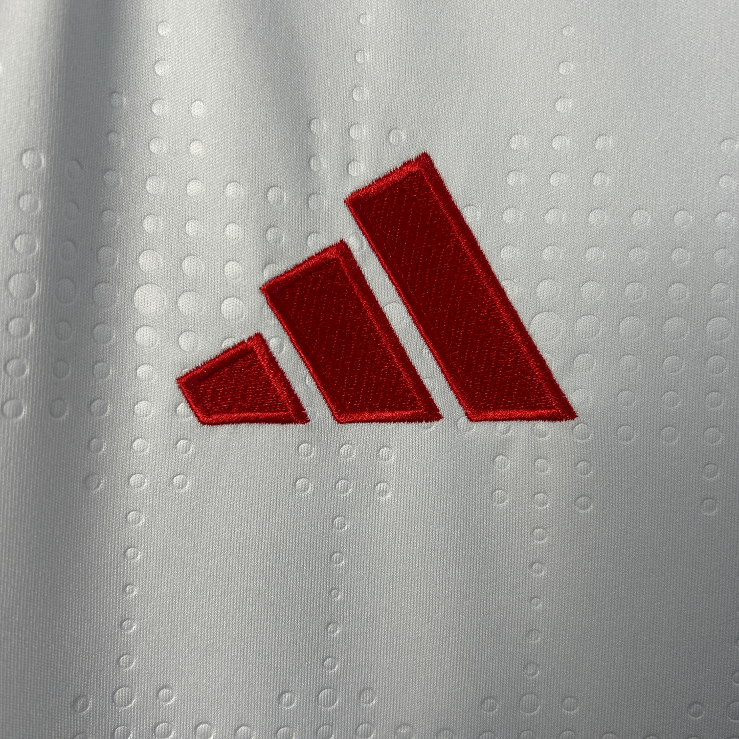 Camiseta Internacional II 25/26 Versión Fan