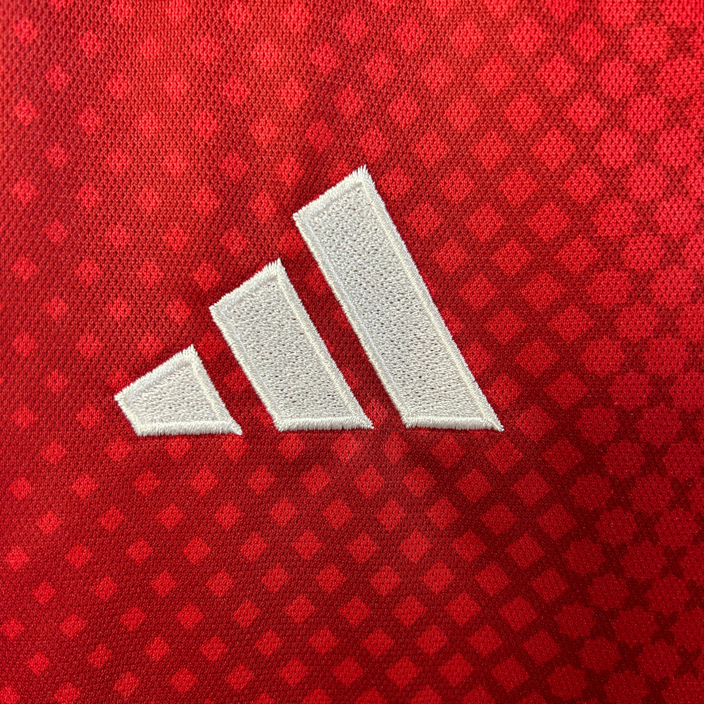 AFC Ajax Home Jersey 25/26 Fan Version