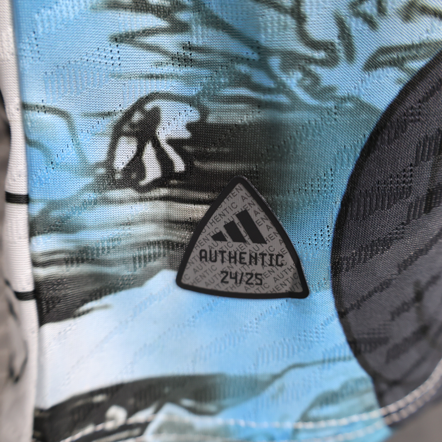 Japan Special Vegeta 2024 Player Jersey