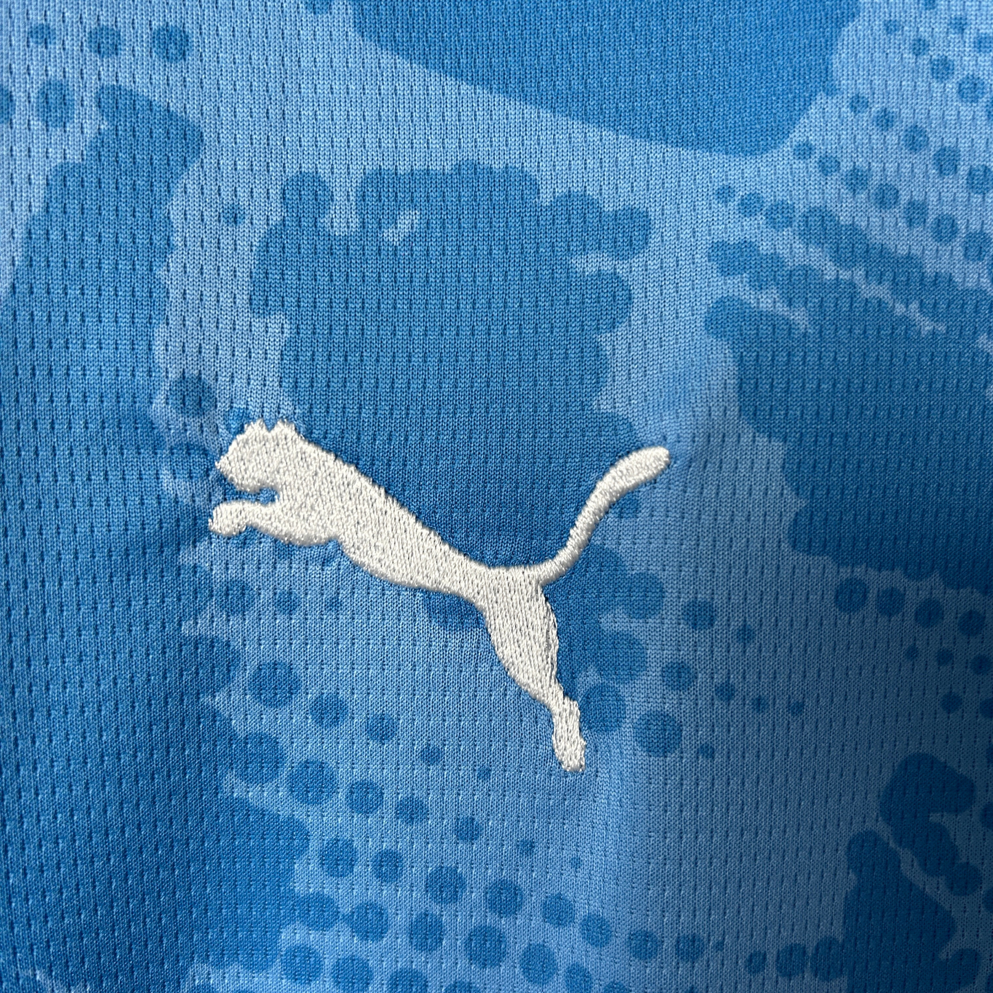 Palmeiras Goalkeeper Jersey I 25/26 Fan Version