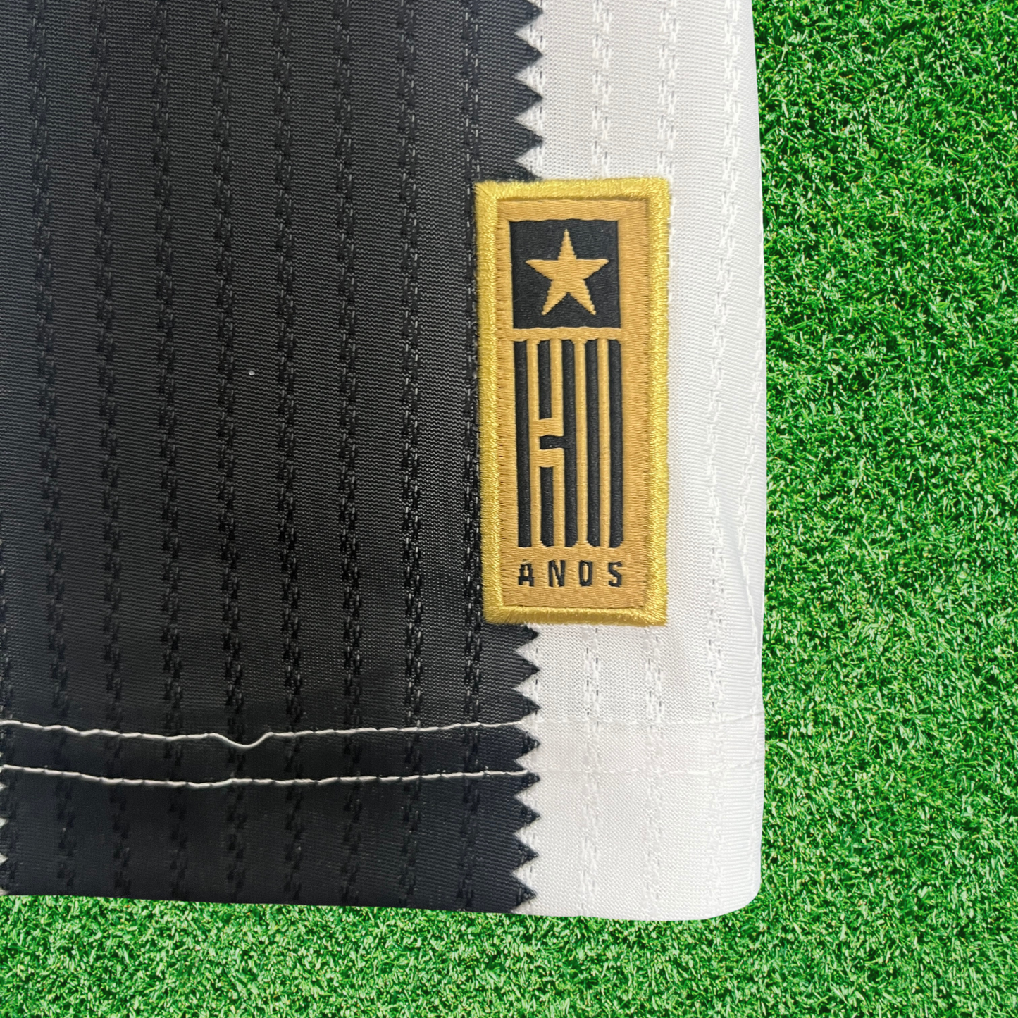 Botafogo Home Jersey 24/25 Fan Version