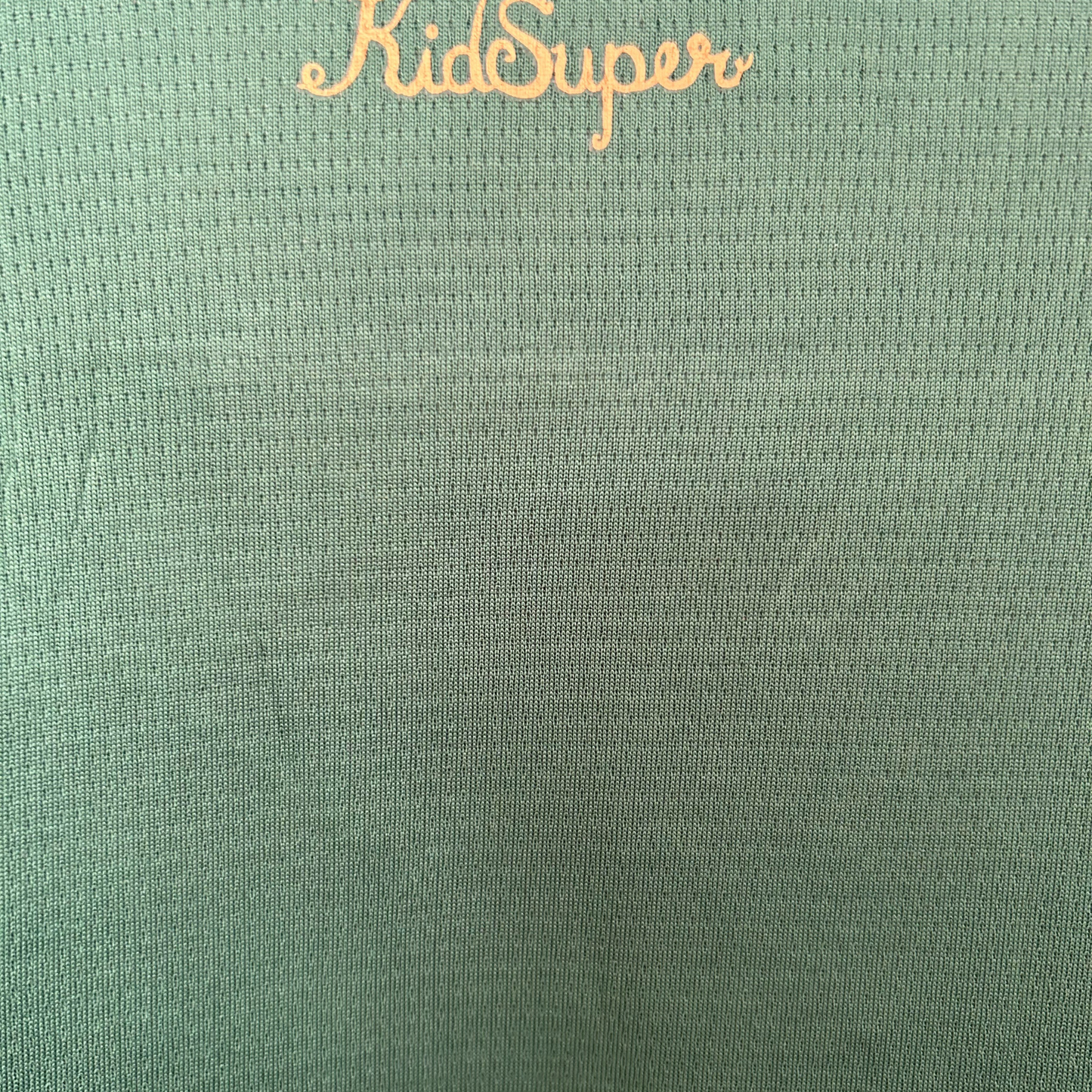 Palmeiras Special Edition Club World Cup Jersey 25/26 Fan Jersey