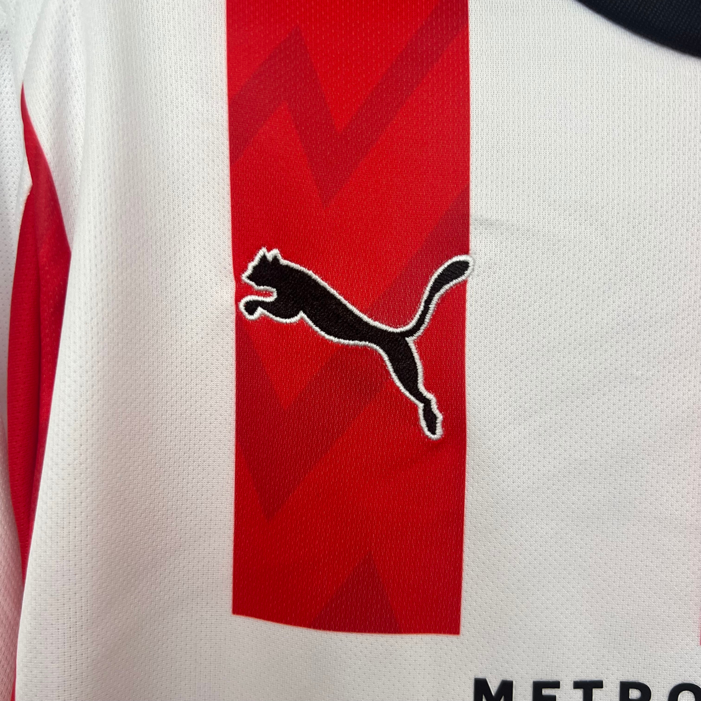 PSV Home Jersey 25/26 Fan Version 