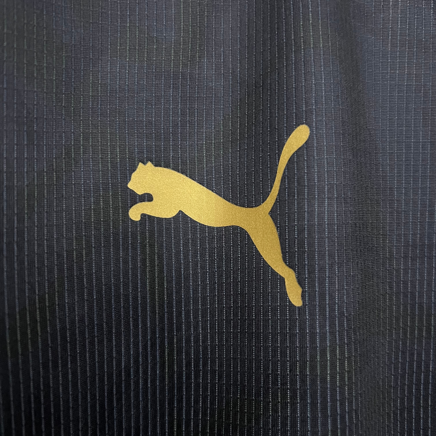 Peñarol CA II 25/26 Fan Jersey 