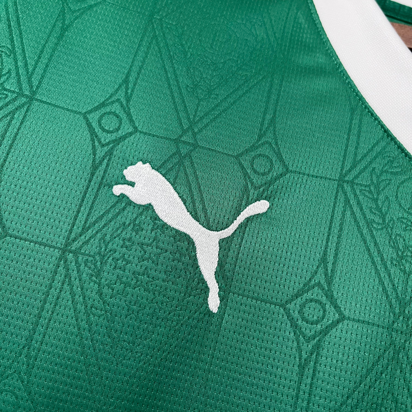 Palmeiras Home Jersey 25/26 Fan Version