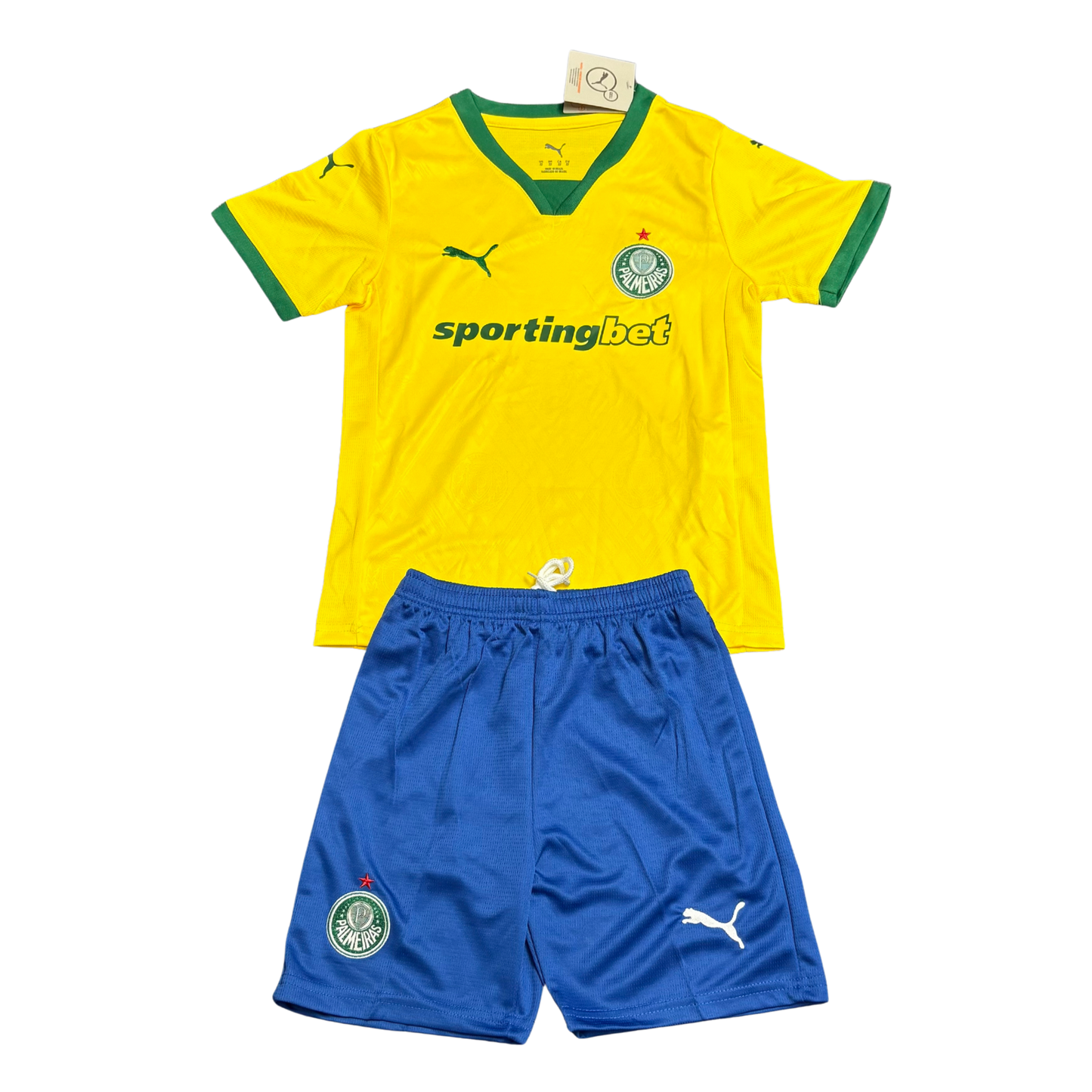 Palmeiras Third Kit 25/26 Kids