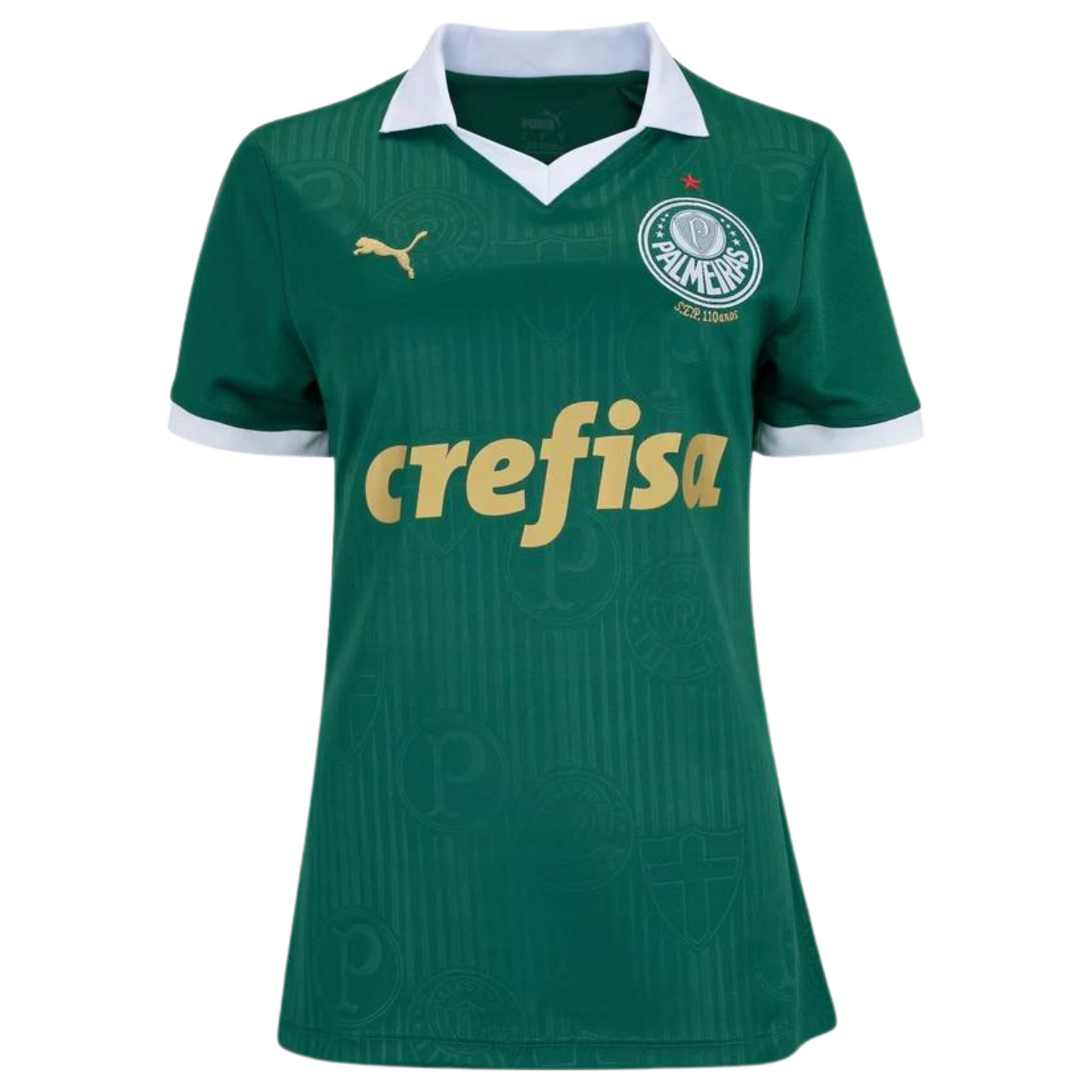 Camisa Palmeiras I 24/25 Feminina Torcedor