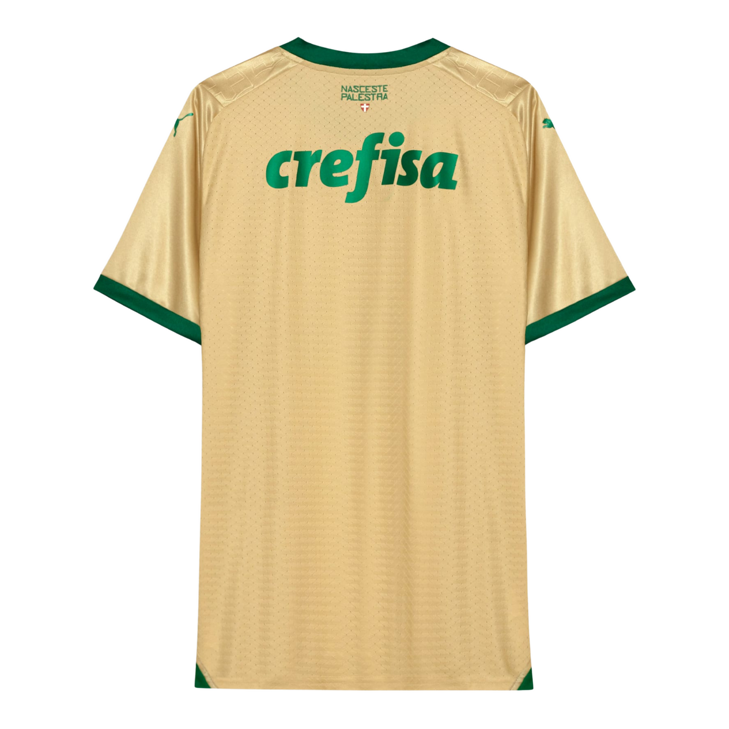 Palmeiras Tercera Camiseta 24/25 Versión Fan 