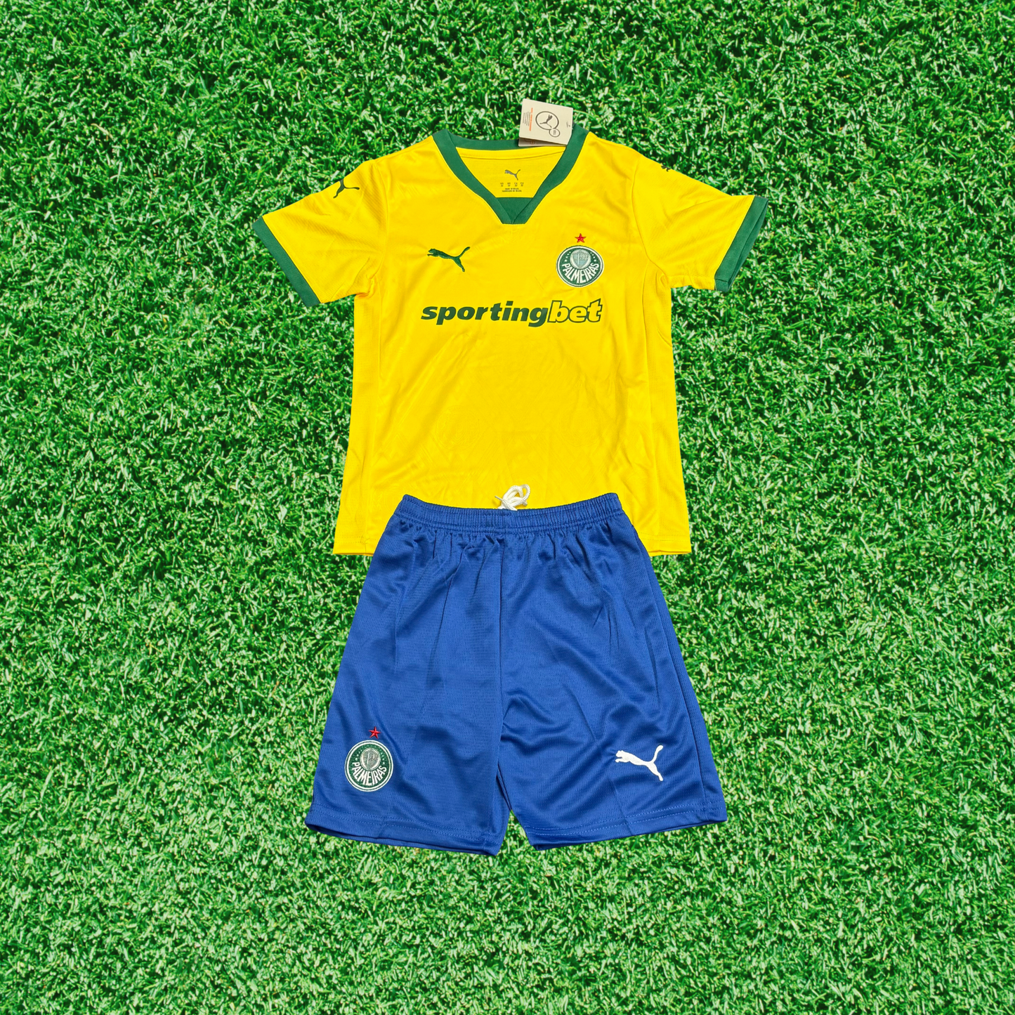 Palmeiras Third Kit 25/26 Kids