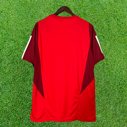 Internacional Training Jersey 24/25 Fan Version