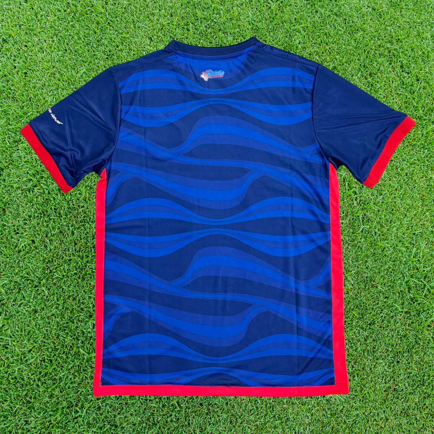 Bahia Third Jersey 24/25 Fan Version
