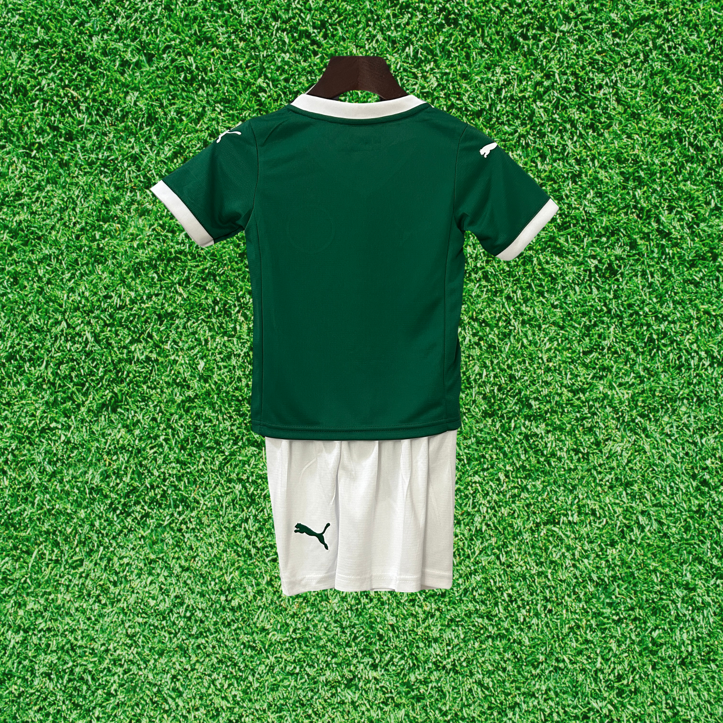 Palmeiras Home Kit 25/26 Kids
