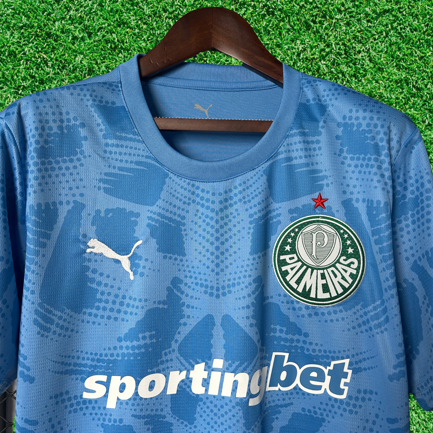 Palmeiras Goalkeeper Jersey I 25/26 Fan Version