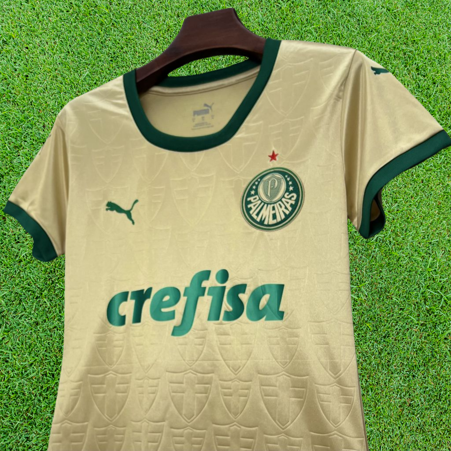 Camisa Palmeiras III 24/25 Feminina Torcedor