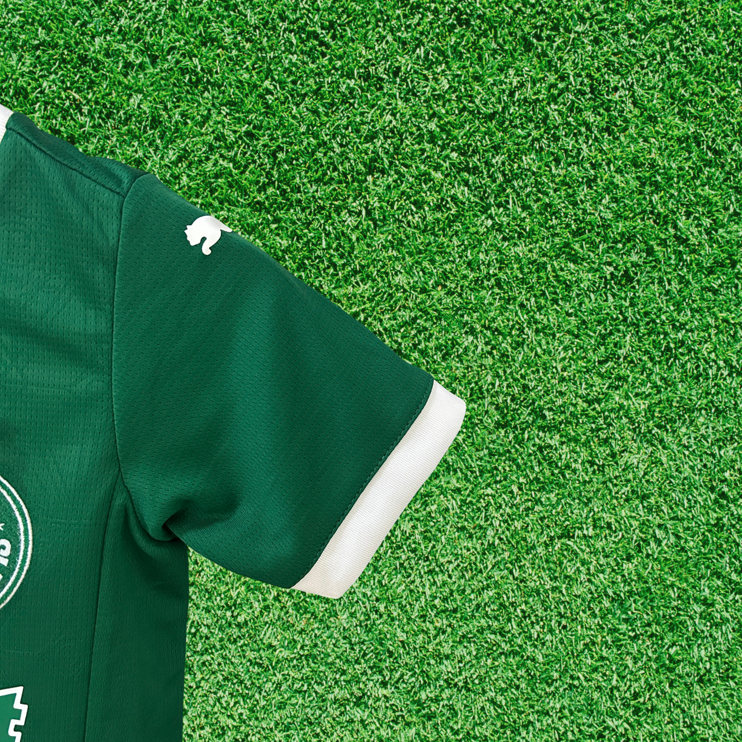 Palmeiras Home Kit 25/26 Kids