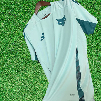 Cruzeiro Training Jersey I 25/26 Fan Version