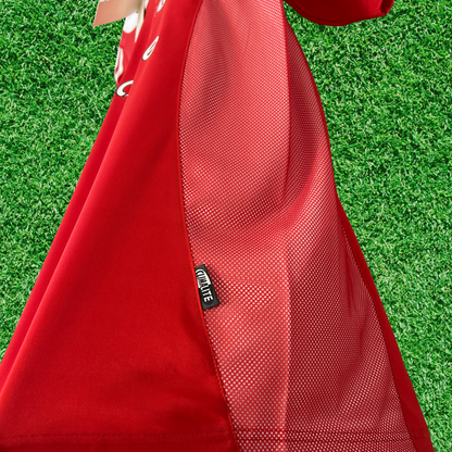 SL Benfica Home Jersey 04/05 Retro