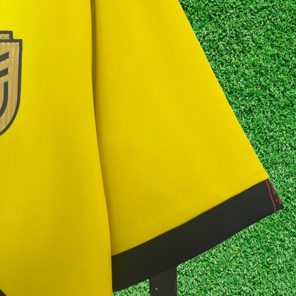 Ecuador Home Jersey 2024 Fan Version 
