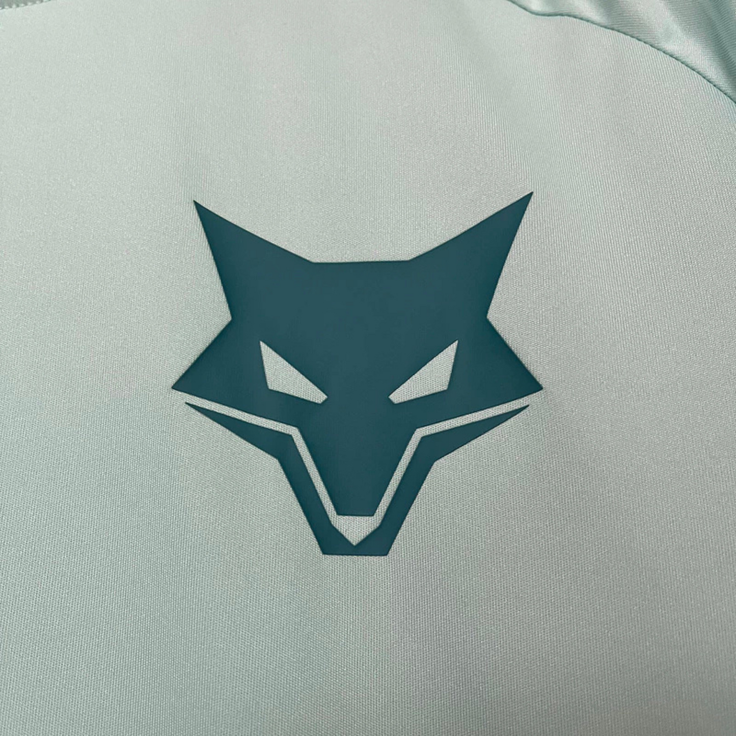 Cruzeiro Training Jersey I 25/26 Fan Version