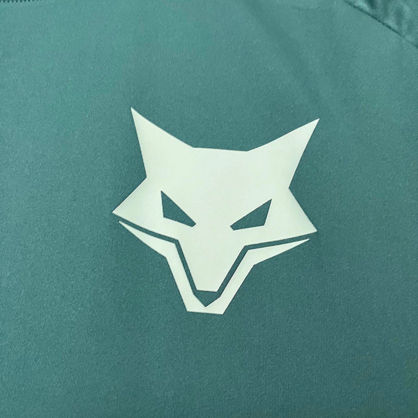 Cruzeiro Training Jersey II 25/26 Fan Version