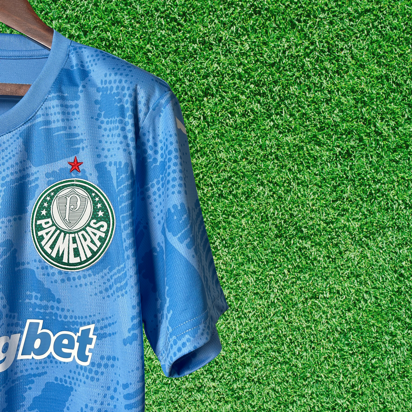Palmeiras Goalkeeper Jersey I 25/26 Fan Version