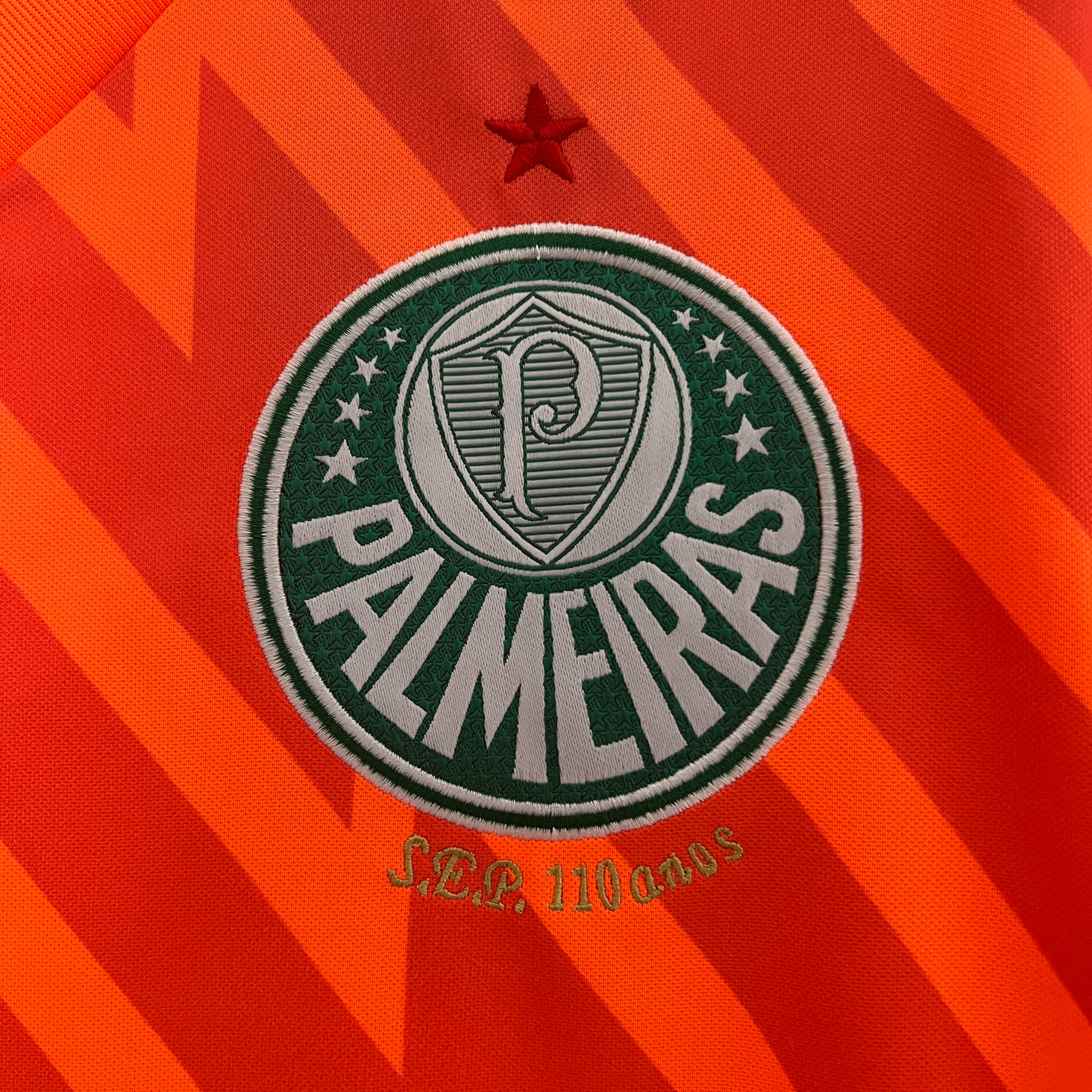 Camiseta De Portero Palmeiras 24/25 Versión Fan 