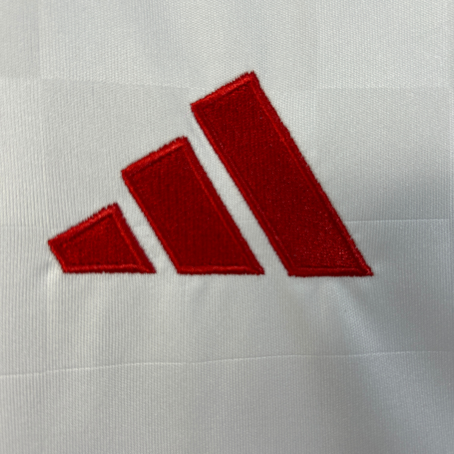 SL Benfica Third Jersey 25/26 Fan Version