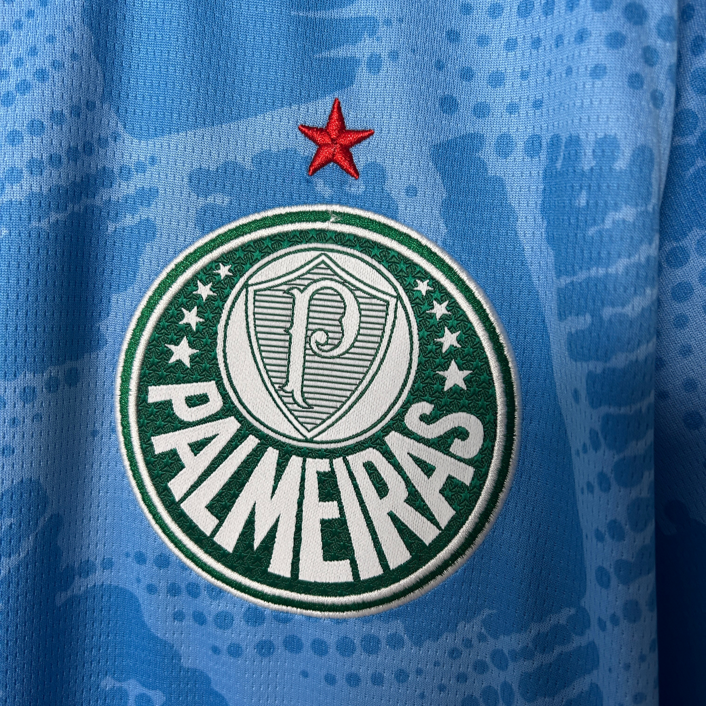 Palmeiras Goalkeeper Jersey I 25/26 Fan Version