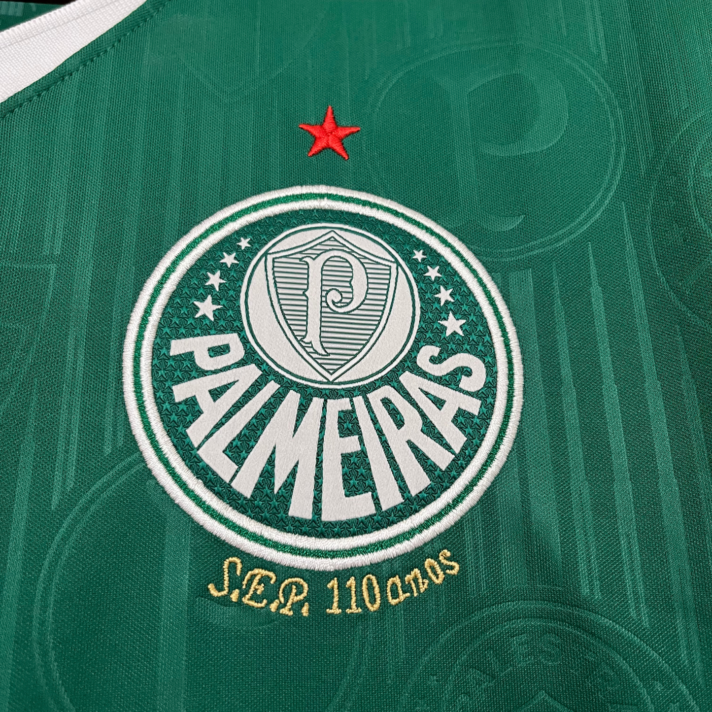 Camiseta Palmeiras Local 24/25 Versión Fan 