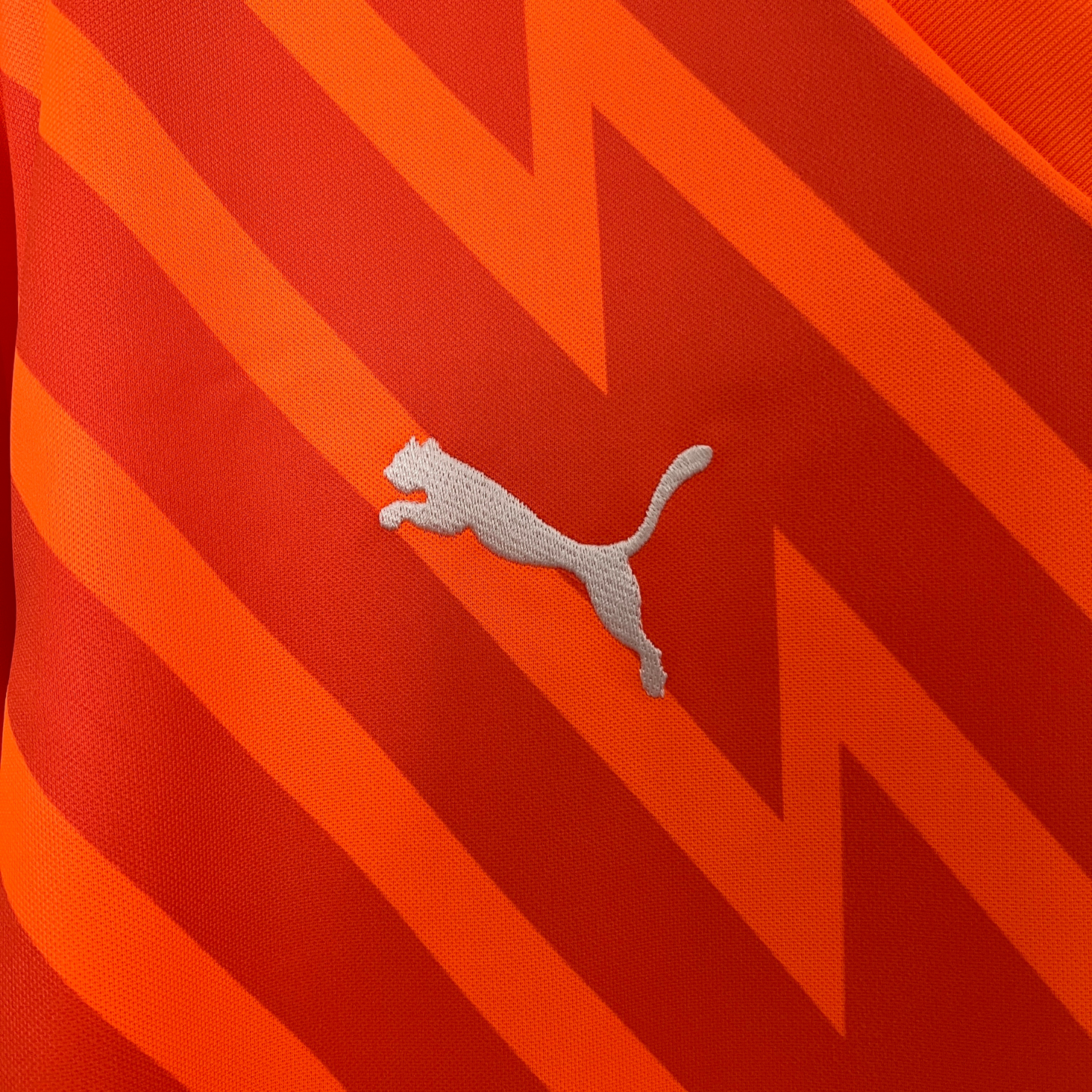 Camiseta De Portero Palmeiras 24/25 Versión Fan 