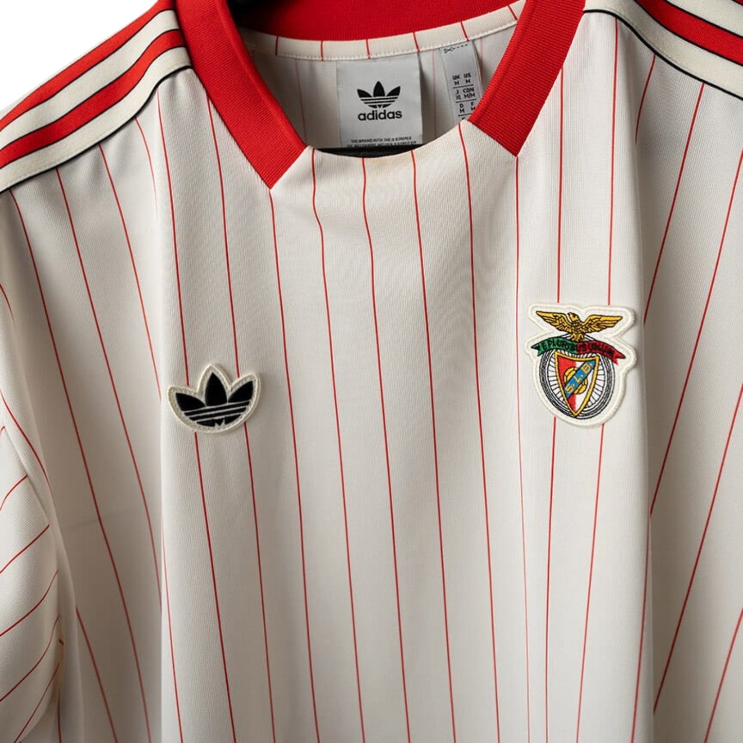 Benfica Edição Especial 25/26