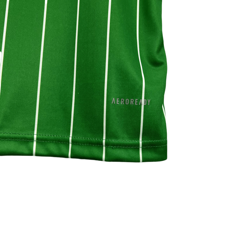 Camiseta conmemorativa del Celtic FC 24/25 (versión para aficionados)