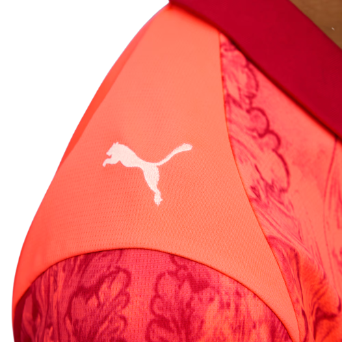 Palmeiras 25/26 II Special Edition Jersey - Fan Version